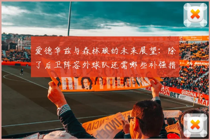 爱德华兹与森林狼的未来展望：除了后卫阵容外球队还需哪些补强措施