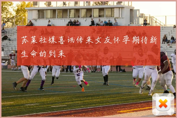 苏莱社媒喜讯传来女友怀孕期待新生命的到来